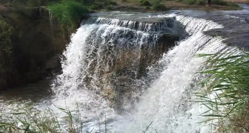 Day Tour to El Fayoum from Cairo