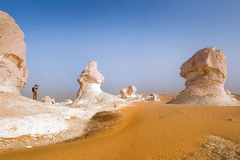 Cairo and Oasis Tour